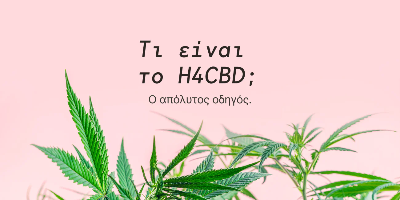 Τι είναι το H4CBD; Ο απόλυτος οδηγός.