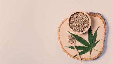 wooden bowl wooden plate full with hemp seeds legalized cannabis concept scaled